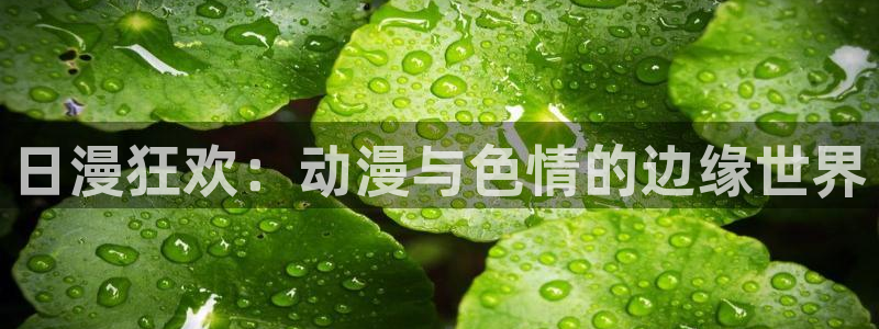 喵趣最新版：日漫狂欢：动漫与色情的边缘世界